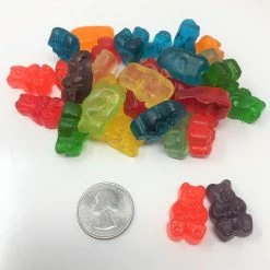 Albanese Gummi Bears 12 Flavors Assorted Fruit Bulk Gummi Candy 2 Pound